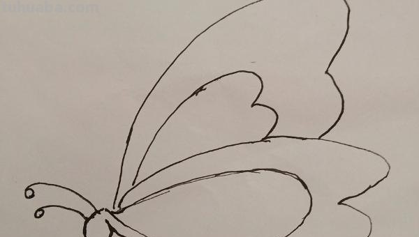 蝴蝶简笔画怎么画(蝴蝶蝴蝶简笔画怎么画) 蝴蝶简笔画怎么画(蝴蝶蝴蝶简笔画怎么画)