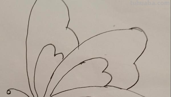 蝴蝶简笔画怎么画(蝴蝶蝴蝶简笔画怎么画) 蝴蝶简笔画怎么画(蝴蝶蝴蝶简笔画怎么画)