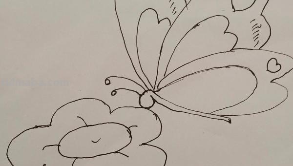 蝴蝶简笔画怎么画(蝴蝶蝴蝶简笔画怎么画) 蝴蝶简笔画怎么画(蝴蝶蝴蝶简笔画怎么画)