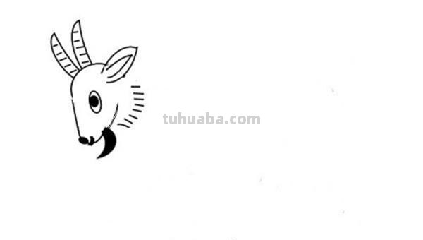 羊怎么画简笔画(羊怎么画简笔画图片) 羊怎么画简笔画(羊怎么画简笔画图片)