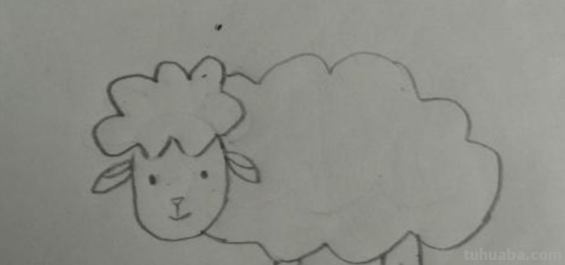 羊怎么画简笔画(羊怎么画简笔画图片) 羊怎么画简笔画(羊怎么画简笔画图片)