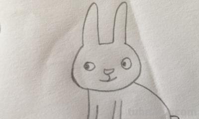 兔子的简笔画怎么画(一笔画兔子的简笔画怎么画) 兔子的简笔画怎么画(一笔画兔子的简笔画怎么画)