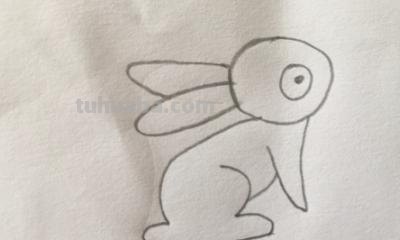 兔子的简笔画怎么画(一笔画兔子的简笔画怎么画) 兔子的简笔画怎么画(一笔画兔子的简笔画怎么画)
