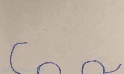 简笔画汽车怎么画（简笔画汽车怎么画?）