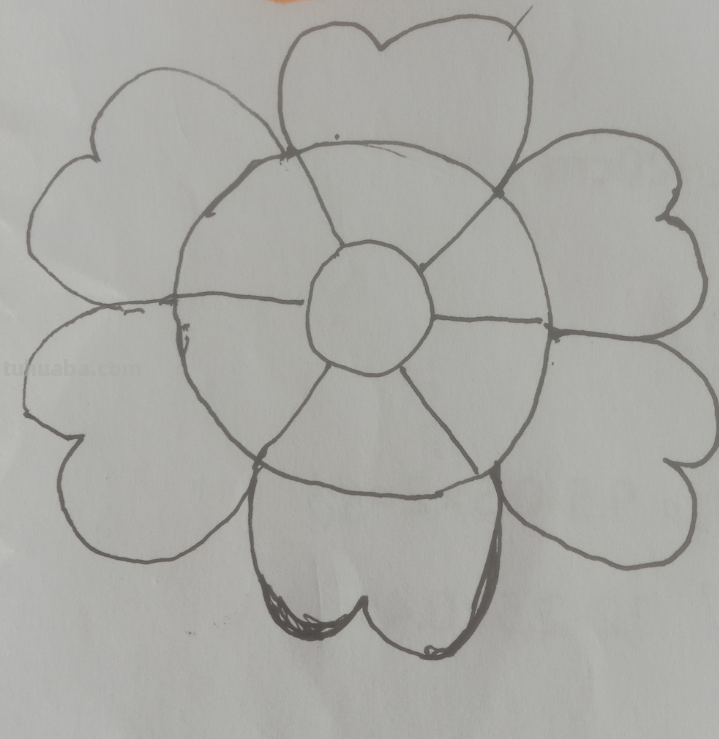 植物的思维导图怎么画（植物的思维导图怎么画 简单）