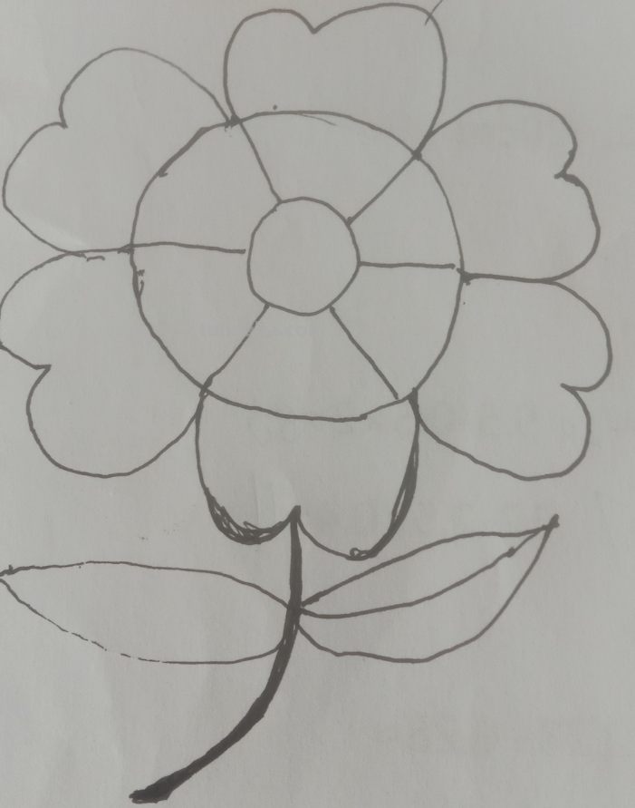 植物的思维导图怎么画（植物的思维导图怎么画 简单）