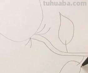 怎么用彩铅画玫瑰花（怎么用彩铅画玫瑰花,好看又简单）