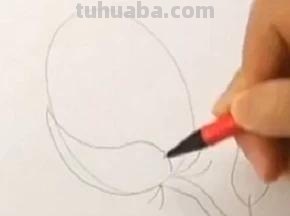 怎么用彩铅画玫瑰花（怎么用彩铅画玫瑰花,好看又简单）