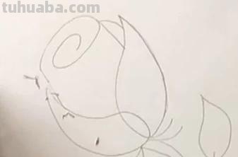 怎么用彩铅画玫瑰花（怎么用彩铅画玫瑰花,好看又简单）