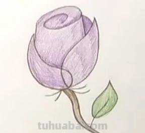怎么用彩铅画玫瑰花（怎么用彩铅画玫瑰花,好看又简单）