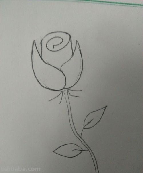 怎么用彩铅画玫瑰花（怎么用彩铅画玫瑰花,好看又简单）