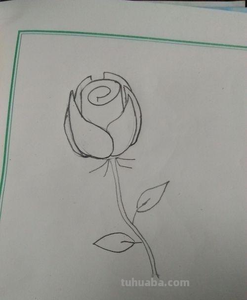怎么用彩铅画玫瑰花（怎么用彩铅画玫瑰花,好看又简单）