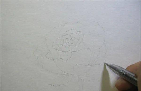 怎么用彩铅画玫瑰花（怎么用彩铅画玫瑰花,好看又简单）
