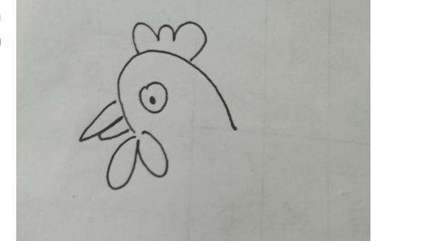 鸡怎么画简笔画（鸡怎么画简笔画图片）