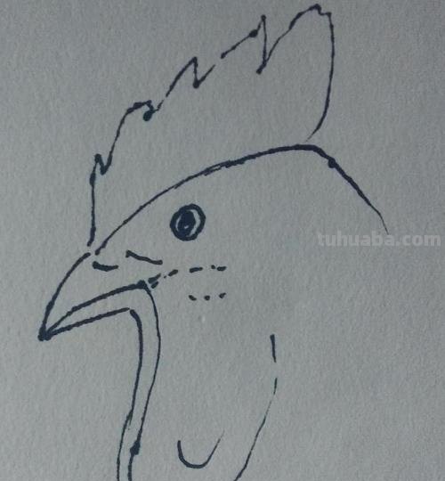 鸡怎么画简笔画（鸡怎么画简笔画图片）
