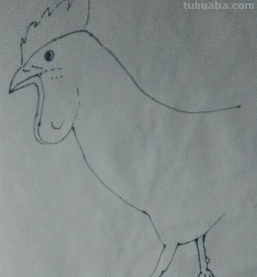鸡怎么画简笔画（鸡怎么画简笔画图片）