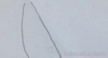 鸡怎么画简笔画（鸡怎么画简笔画图片）