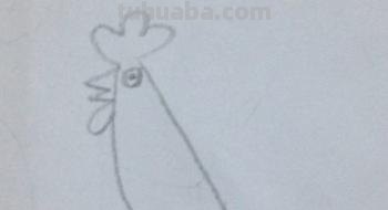 鸡怎么画简笔画（鸡怎么画简笔画图片）