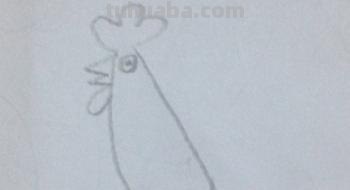 鸡怎么画简笔画（鸡怎么画简笔画图片）