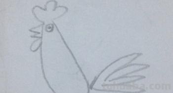 鸡怎么画简笔画（鸡怎么画简笔画图片）