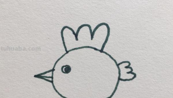 鸡怎么画简笔画（鸡怎么画简笔画图片）