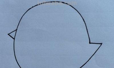 鸡怎么画简笔画（鸡怎么画简笔画图片）