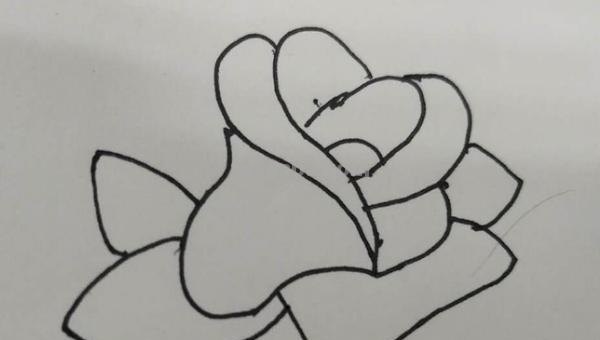 花朵怎么画简笔画(花朵怎么画简笔画又漂亮) 花朵怎么画简笔画(花朵怎么画简笔画又漂亮)