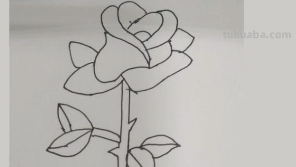 花朵怎么画简笔画(花朵怎么画简笔画又漂亮) 花朵怎么画简笔画(花朵怎么画简笔画又漂亮)