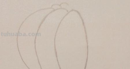 彩铅画什么画（彩铅画什么画好看）