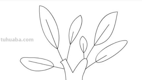 简笔画的树怎么画（简笔画的树怎么画 漂亮）