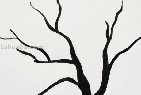 简笔画的树怎么画（简笔画的树怎么画 漂亮）