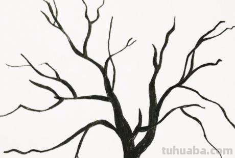 简笔画的树怎么画（简笔画的树怎么画 漂亮）