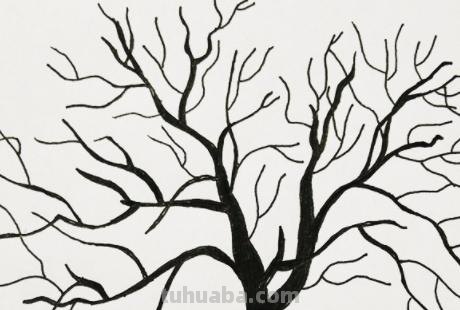 简笔画的树怎么画（简笔画的树怎么画 漂亮）