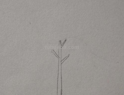 简笔画的树怎么画（简笔画的树怎么画 漂亮）