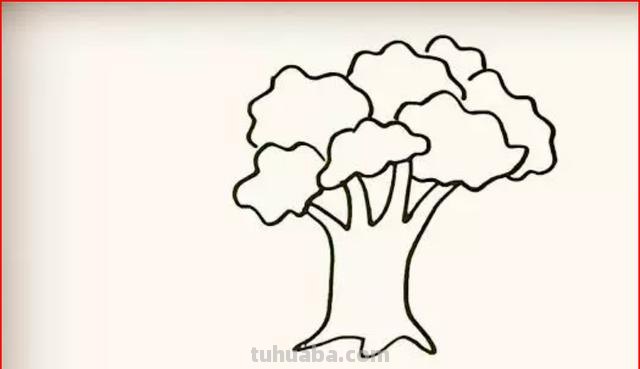 简笔画的树怎么画（简笔画的树怎么画 漂亮）