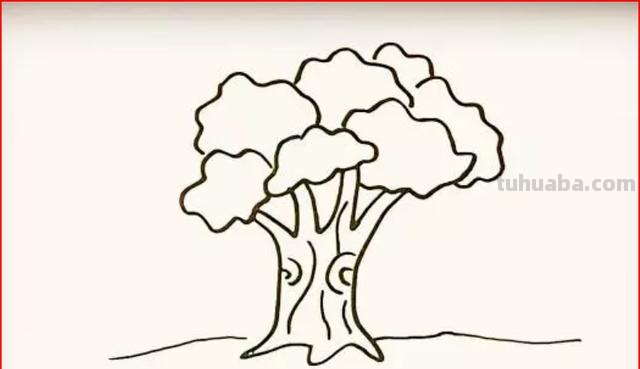 简笔画的树怎么画（简笔画的树怎么画 漂亮）