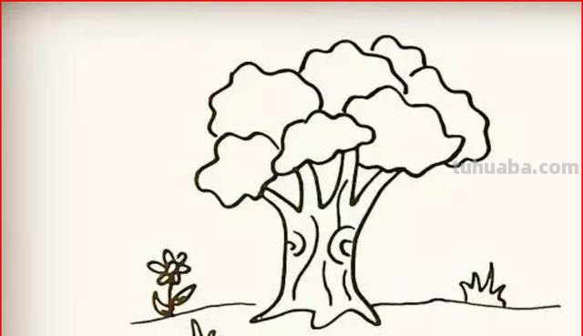 简笔画的树怎么画（简笔画的树怎么画 漂亮）