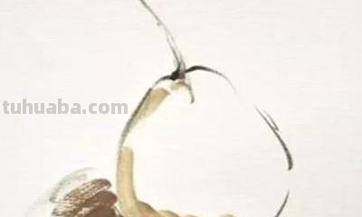 梨怎么画彩铅（梨怎么画彩铅画）