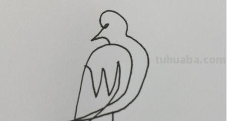 小鸟简笔画怎么画（电线上的小鸟简笔画怎么画）