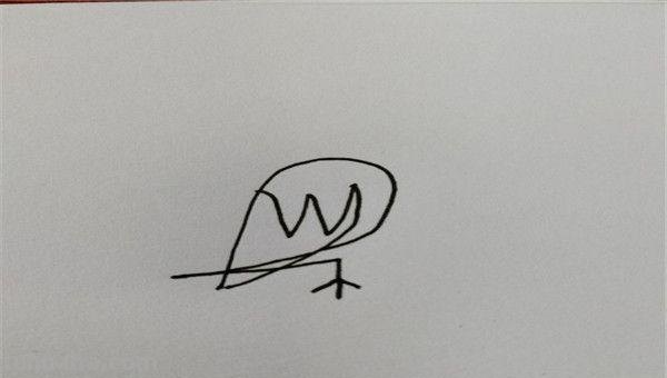 小鸟简笔画怎么画（电线上的小鸟简笔画怎么画）