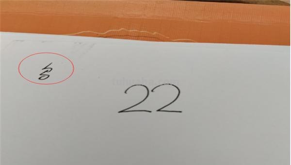 小鸟简笔画怎么画（电线上的小鸟简笔画怎么画）