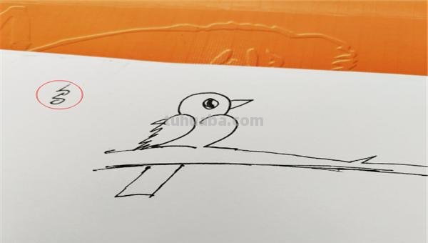 小鸟简笔画怎么画（电线上的小鸟简笔画怎么画）