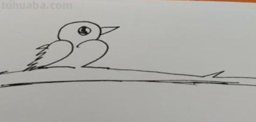 小鸟简笔画怎么画（电线上的小鸟简笔画怎么画）