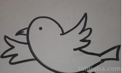 简笔画小鸟怎么画(小鸟简笔画小鸟怎么画) 简笔画小鸟怎么画(小鸟简笔画小鸟怎么画)
