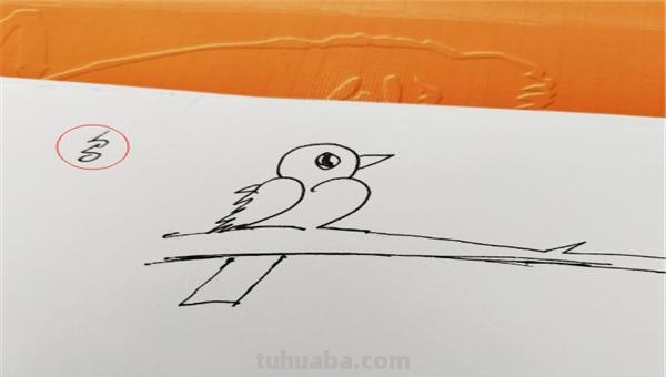 简笔画小鸟怎么画(小鸟简笔画小鸟怎么画) 简笔画小鸟怎么画(小鸟简笔画小鸟怎么画)