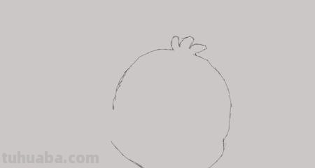 小鸟怎么画简笔画(小鸟怎么画简笔画图片) 小鸟怎么画简笔画(小鸟怎么画简笔画图片)