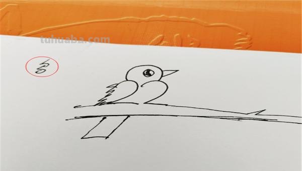 小鸟怎么画简笔画(小鸟怎么画简笔画图片) 小鸟怎么画简笔画(小鸟怎么画简笔画图片)