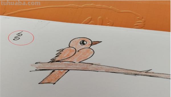 小鸟怎么画简笔画(小鸟怎么画简笔画图片) 小鸟怎么画简笔画(小鸟怎么画简笔画图片)