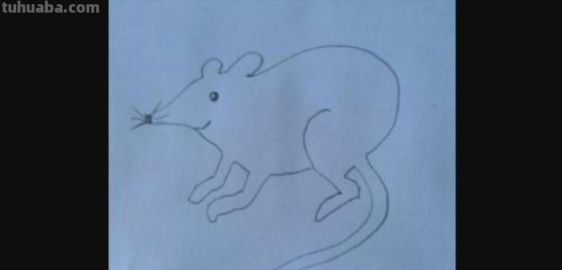 老鼠怎么画 简笔画（老鼠怎么画简笔画7加2）
