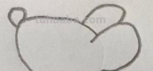老鼠怎么画 简笔画（老鼠怎么画简笔画7加2）